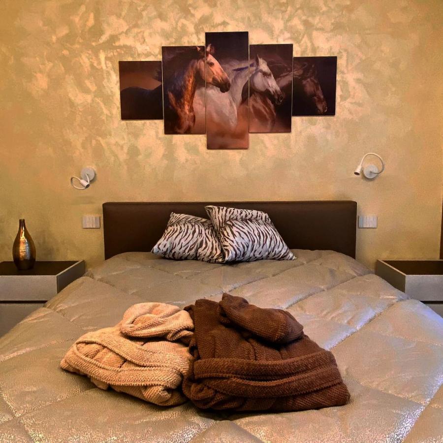 Nuova Residenza Porta Nuova Winehorse فيرونا المظهر الخارجي الصورة